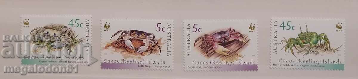 Cocos Islands - fauna WWF, crabs