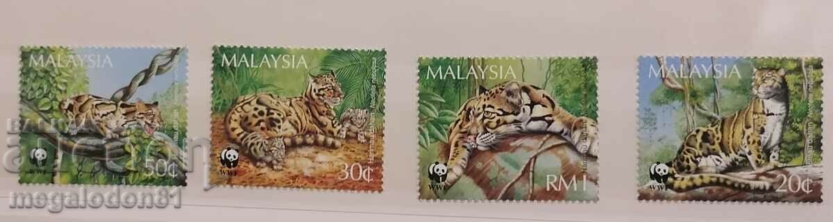 Малайзия - фауна WWF, димен леопард