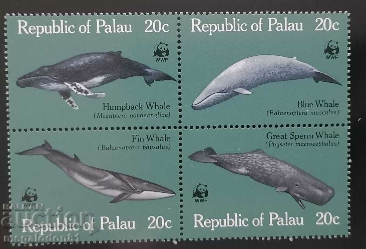 Παλάου - πανίδα WWF, φάλαινες