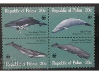 Παλάου - πανίδα WWF, φάλαινες