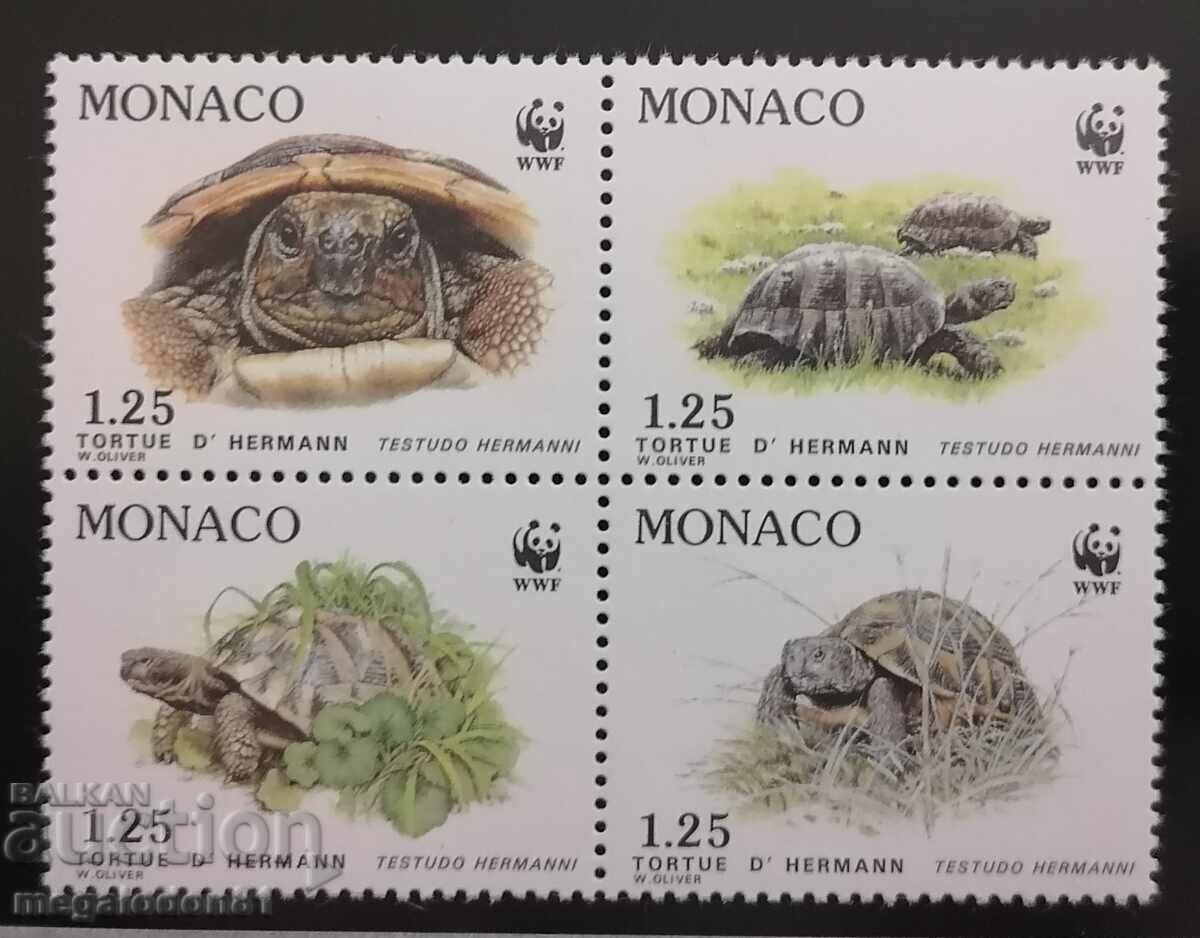 Monaco - fauna WWF, turtles