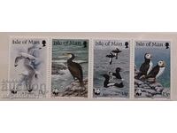 Insula Man (Marea Britanie) - fauna WWF, păsări marine