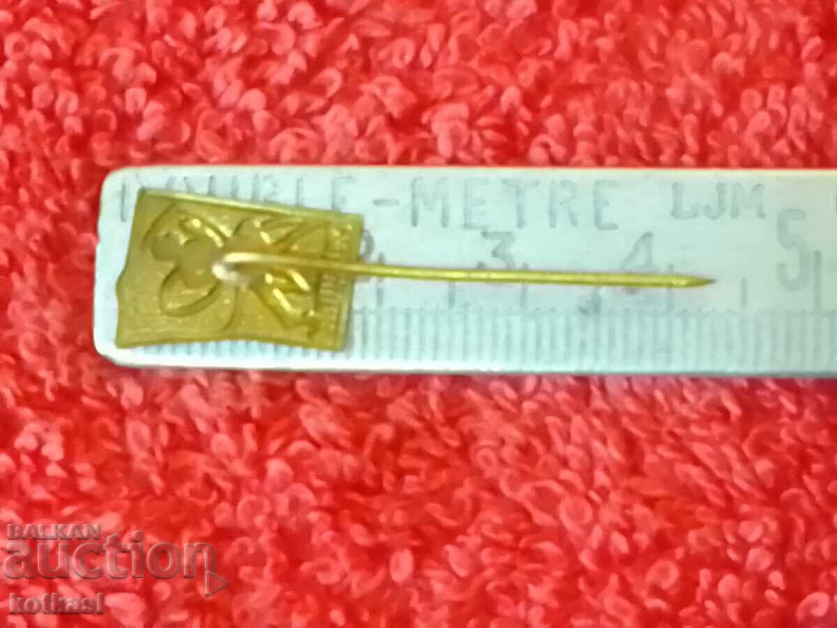 Delivery of Old social metal badge pin SM RODINA