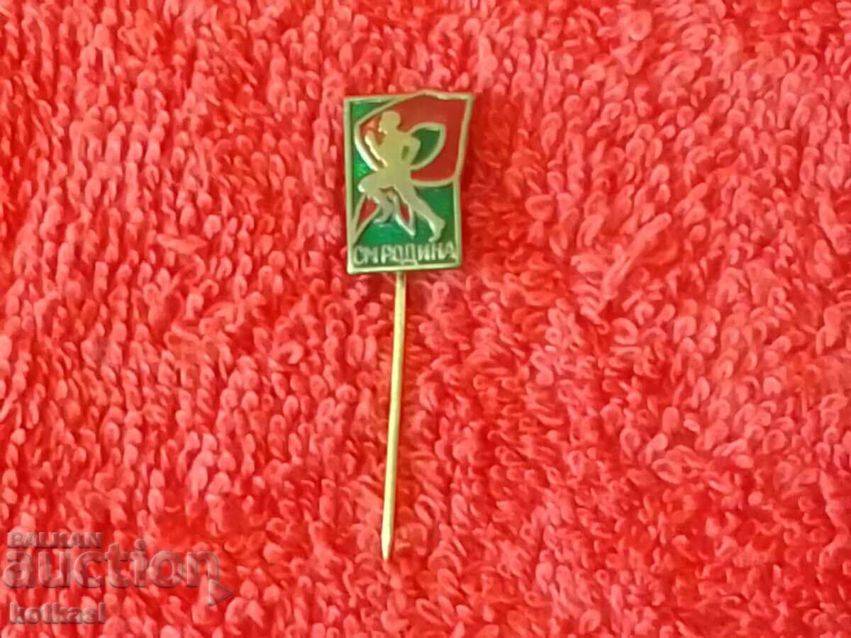 Old social metal badge pin SM RODINA - 5