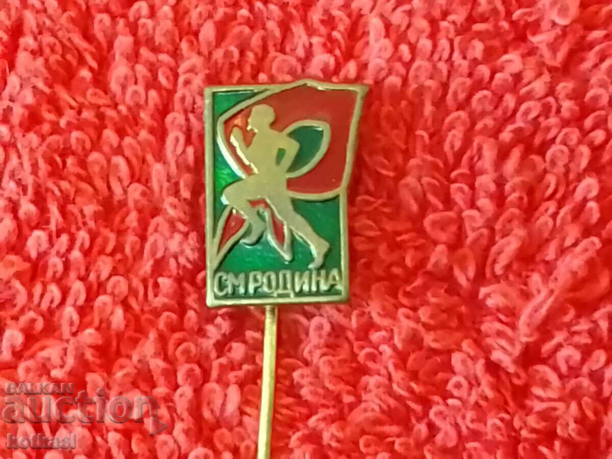Old social metal badge pin SM RODINA - 6