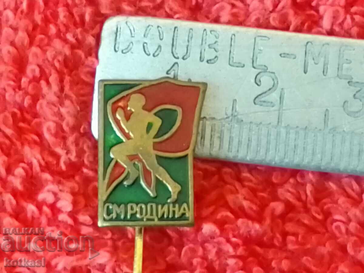 Old social metal badge pin SM RODINA