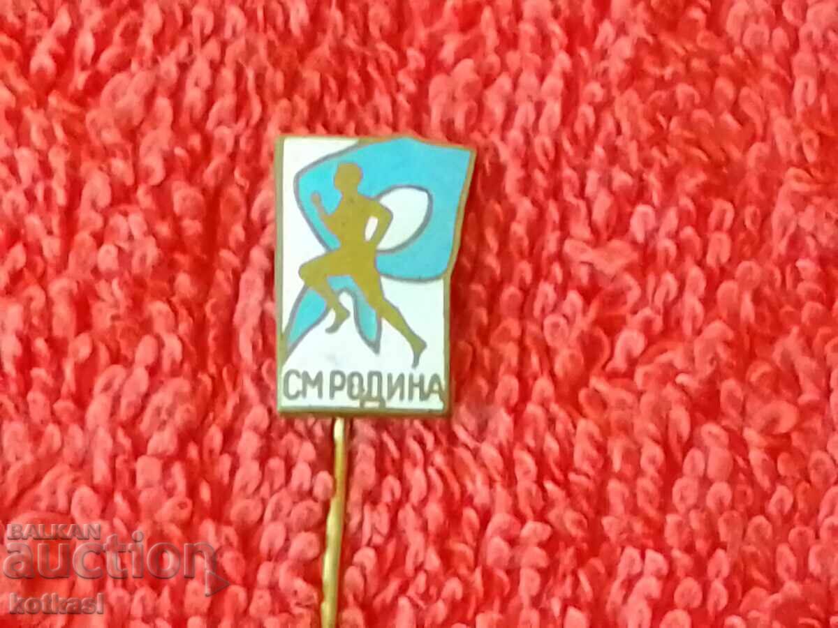 Old social metal badge pin SM RODINA enamel - 6 Old social metal badge pin SM RODINA enamel - 6