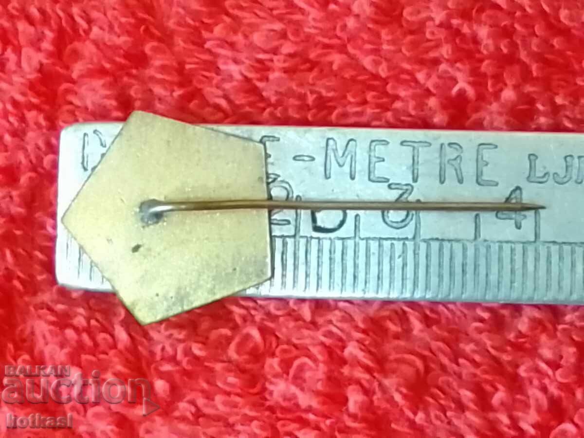 Old social metal badge pin 09. September with price 15.50 BGN | € 7.93 Old social metal badge pin 09. September with price 15.50 BGN | € 7.93