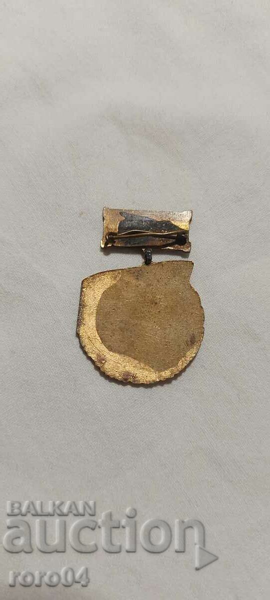 DOSO - PUBLIC INSTRUCTOR - 6 DOSO - PUBLIC INSTRUCTOR - 6