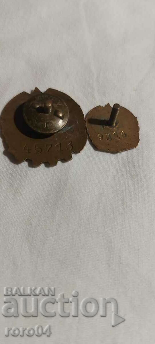 BGTO - GTO - NUMBERS - 5 BGTO - GTO - NUMBERS - 5