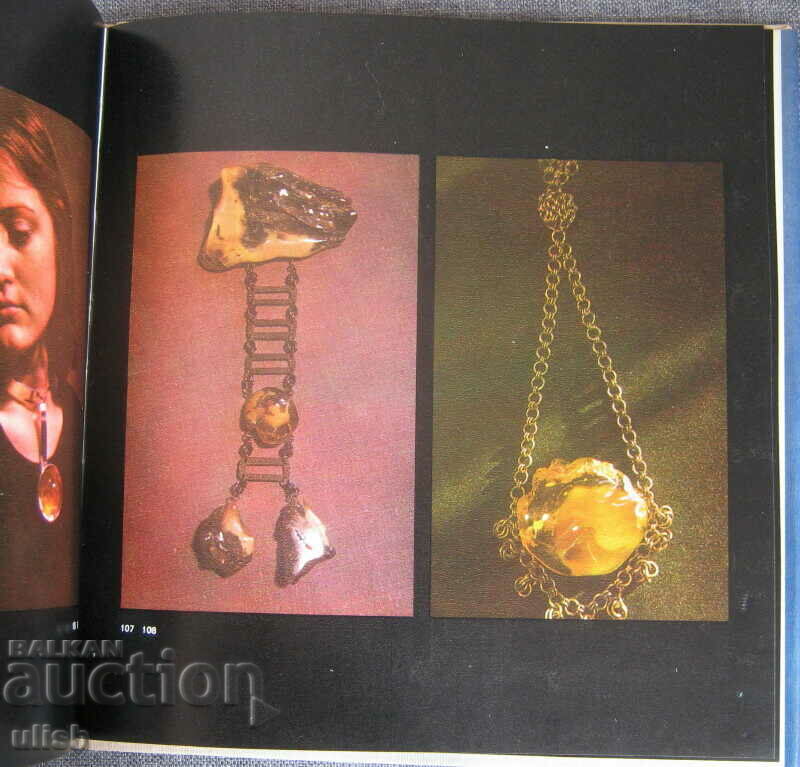 Baltic amber Baltic amber Lithuanian book 1979 - 6