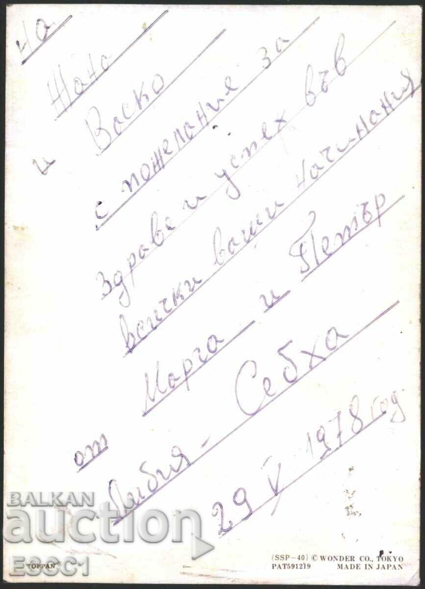 Stereo 3D postcard Spring Fauna Birds 1978 from Japan with price 6.00 BGN | € 3.07 Stereo 3D postcard Spring Fauna Birds 1978 from Japan with price 6.00 BGN | € 3.07