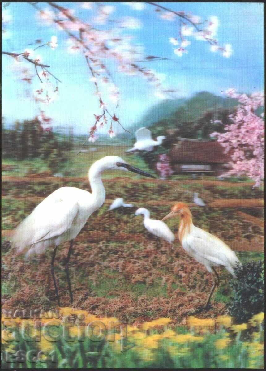 Stereo 3D postcard Spring Fauna Birds 1978 from Japan