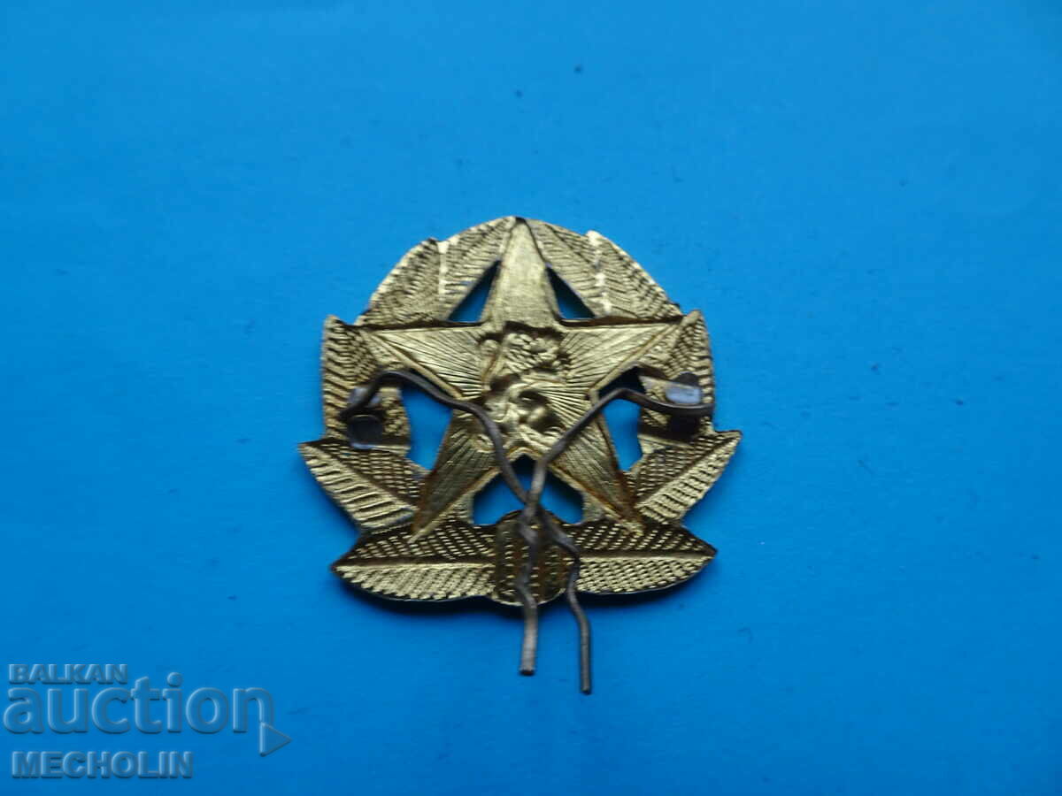 Δημοπρασία ΣΥΛΛΕΚΤΙΚΕΣ ΚΟΚΑΡΔΕΣ ΚΑΛΤΣΑΣ Δημοπρασία ΣΥΛΛΕΚΤΙΚΕΣ ΚΟΚΑΡΔΕΣ ΚΑΛΤΣΑΣ