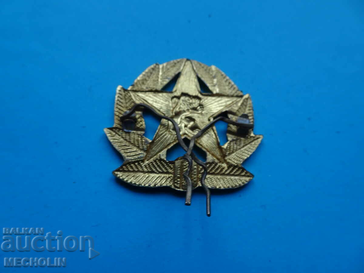 Παράδοση ΣΥΛΛΕΚΤΙΚΕΣ ΚΟΚΑΡΔΕΣ ΚΑΛΤΣΑΣ Παράδοση ΣΥΛΛΕΚΤΙΚΕΣ ΚΟΚΑΡΔΕΣ ΚΑΛΤΣΑΣ