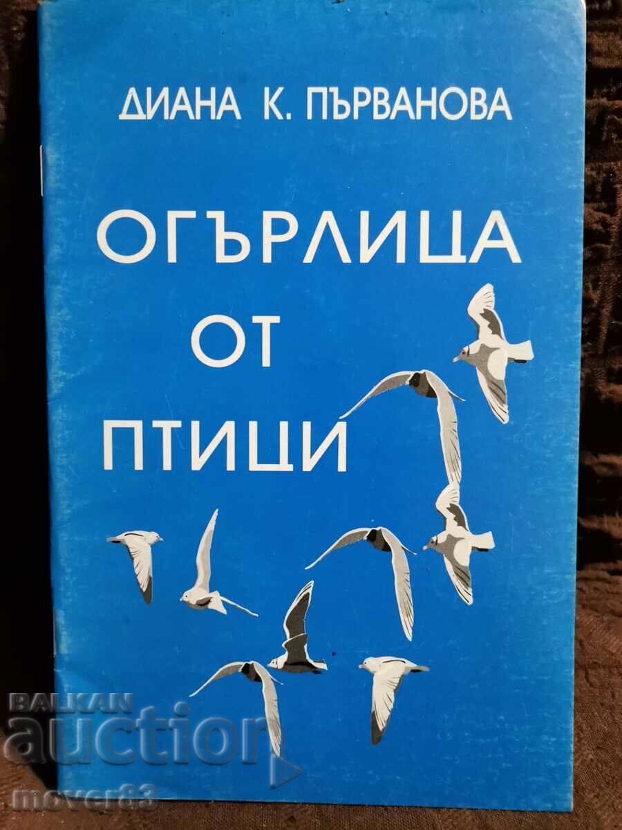 Bird necklace. Diana Parvanova. Poems
