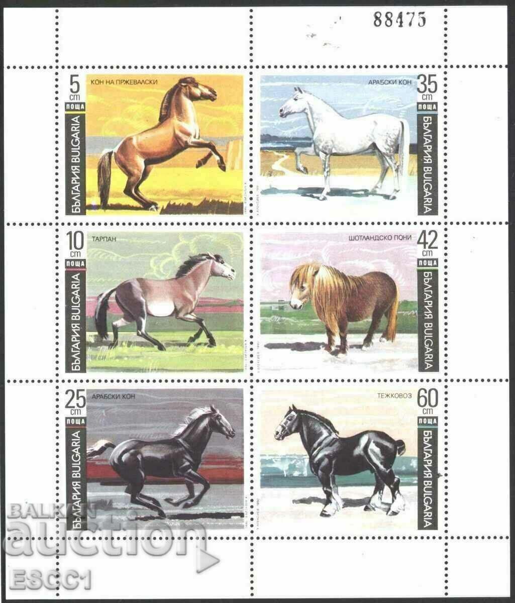 Чисти марки в малък лист Фауна Коне 1991 от България