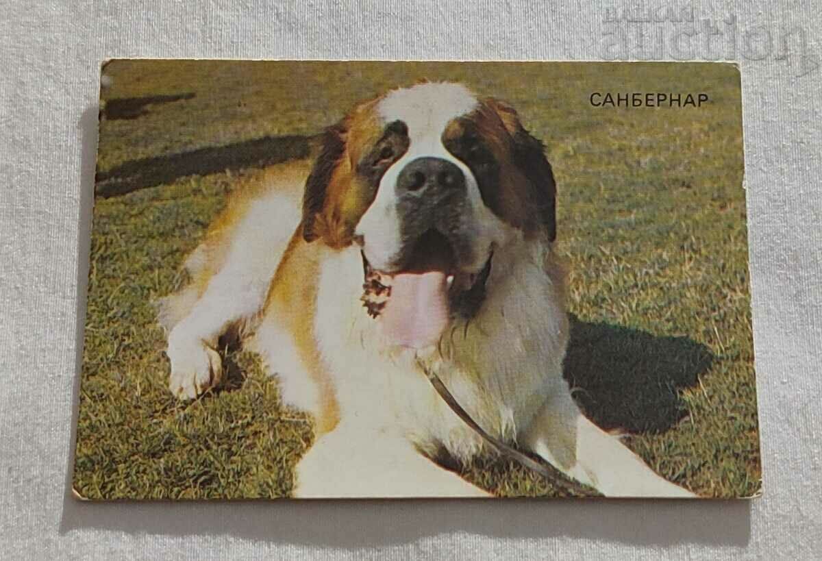 SAN BERNARD DOG CALENDAR 1988