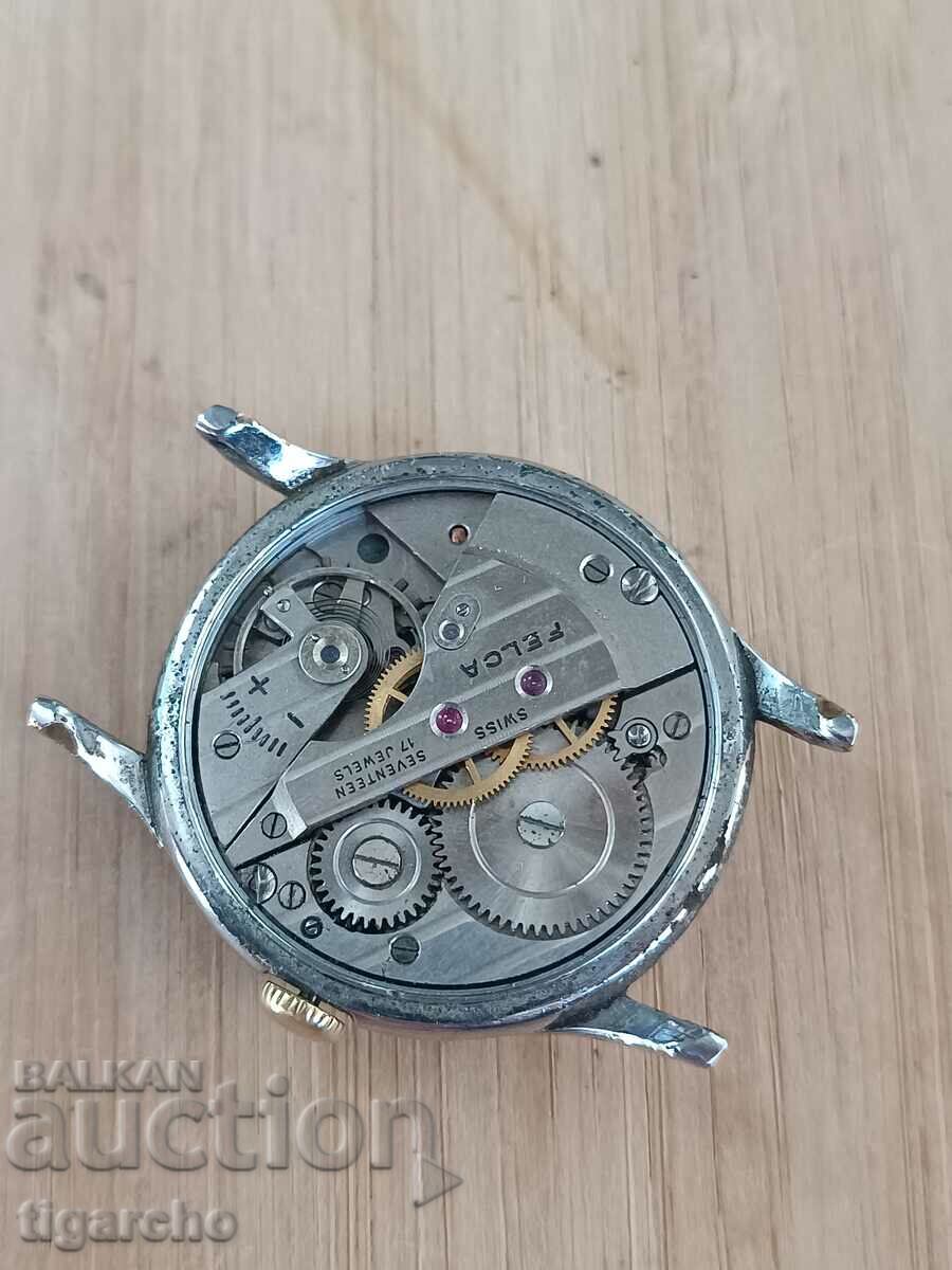 Felca watch - 7