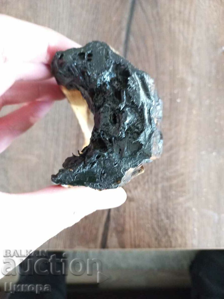 CROCODILE HEAD PREPARED - 5