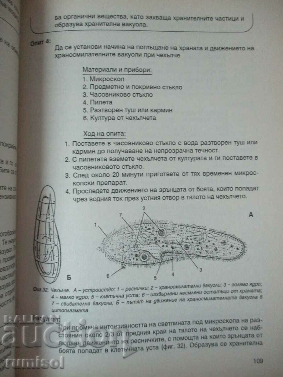 Biology - practical guide - 5-8 cl, Maria Shishinova - 5 Biology - practical guide - 5-8 cl, Maria Shishinova - 5
