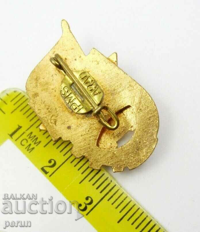 Delivery of READY FOR WORK AND DEFENSE-SECOND DEGREE-SOCIALIST ROMANIA Delivery of READY FOR WORK AND DEFENSE-SECOND DEGREE-SOCIALIST ROMANIA