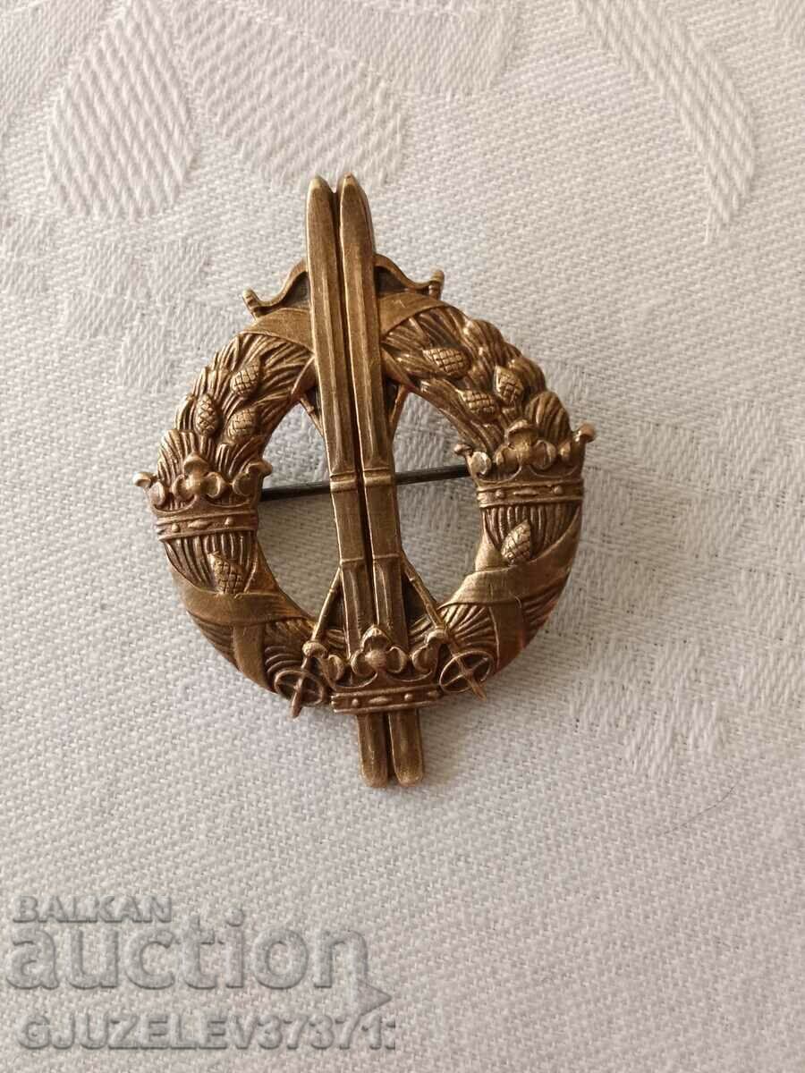 Collector's badge, Swedish military ski unit, WWII Collector's badge, Swedish military ski unit, WWII