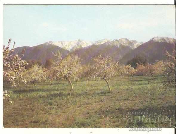 Postcard Bulgaria Bansko View of Pirin Postcard Bulgaria Bansko View of Pirin