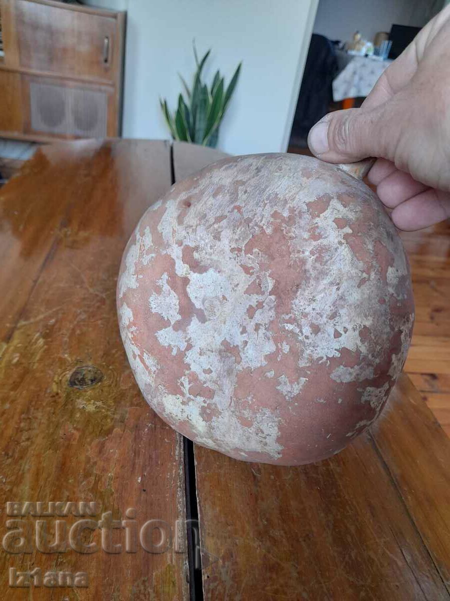 Delivery of Old pumpkin Baklitsa