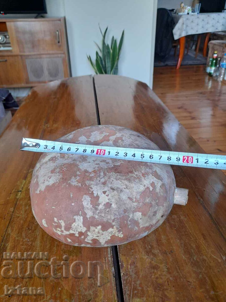 Old pumpkin Baklitsa - 7