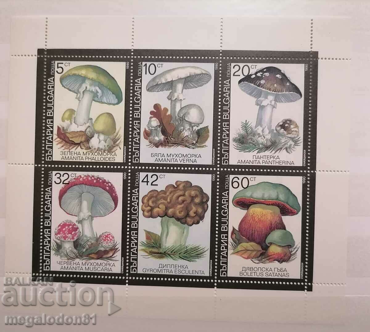 Bulgaria - poisonous mushrooms, 1991