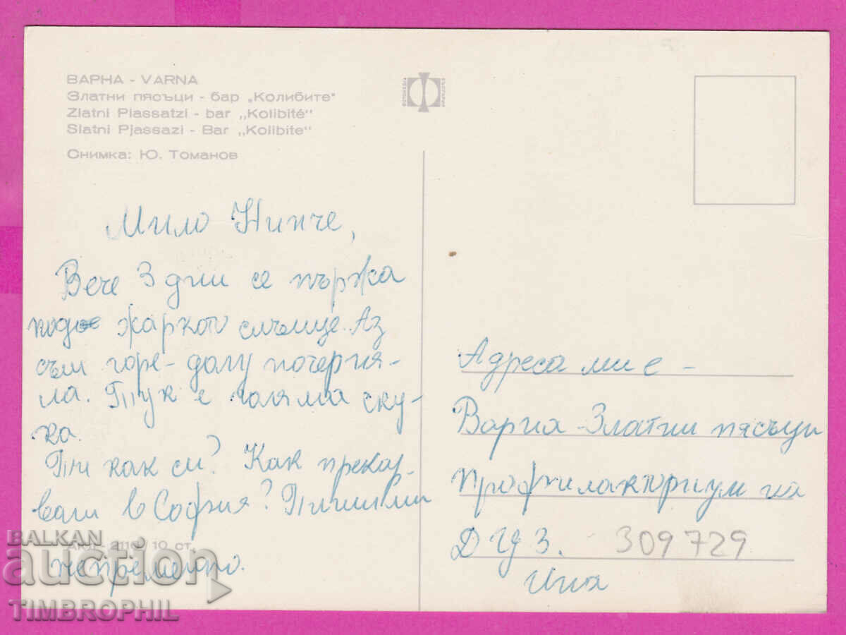 Delivery of 309729 / Golden sands - Bar Kolibite Akl-2116 Photo edition