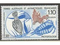 1990. pr. Sud și Antarctic. Teritoriile. Protistologie.