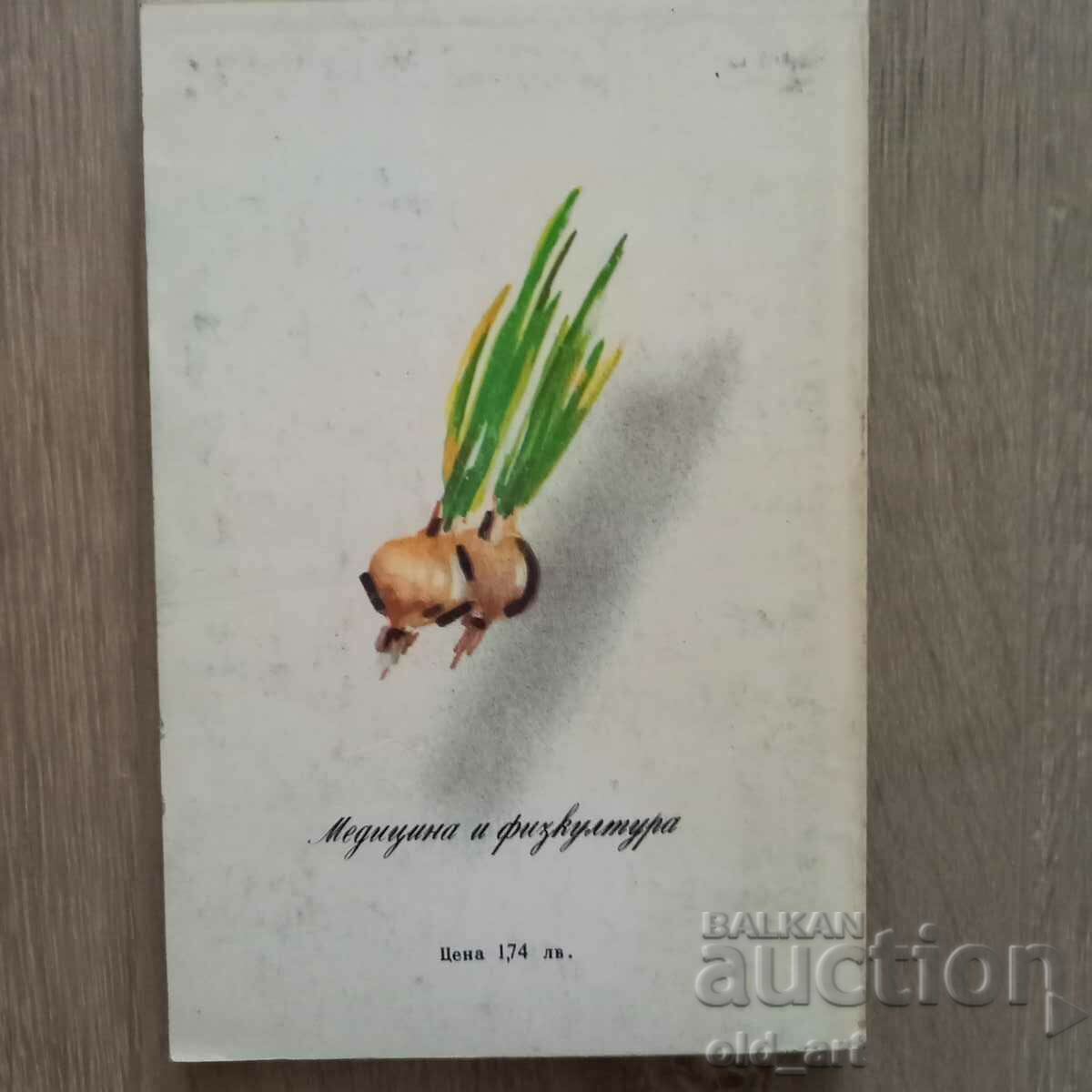 Auction  Book - The gourmet's kitchen