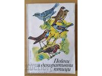 Songbirds and decorative birds - Kuzmin, Rybanin