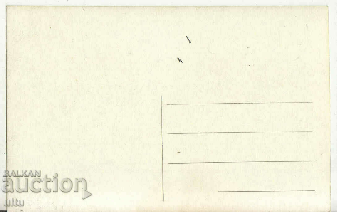 Bulgaria, Perushtitsa, Picking tobacco with price 22.90 BGN | € 11.71 Bulgaria, Perushtitsa, Picking tobacco with price 22.90 BGN | € 11.71