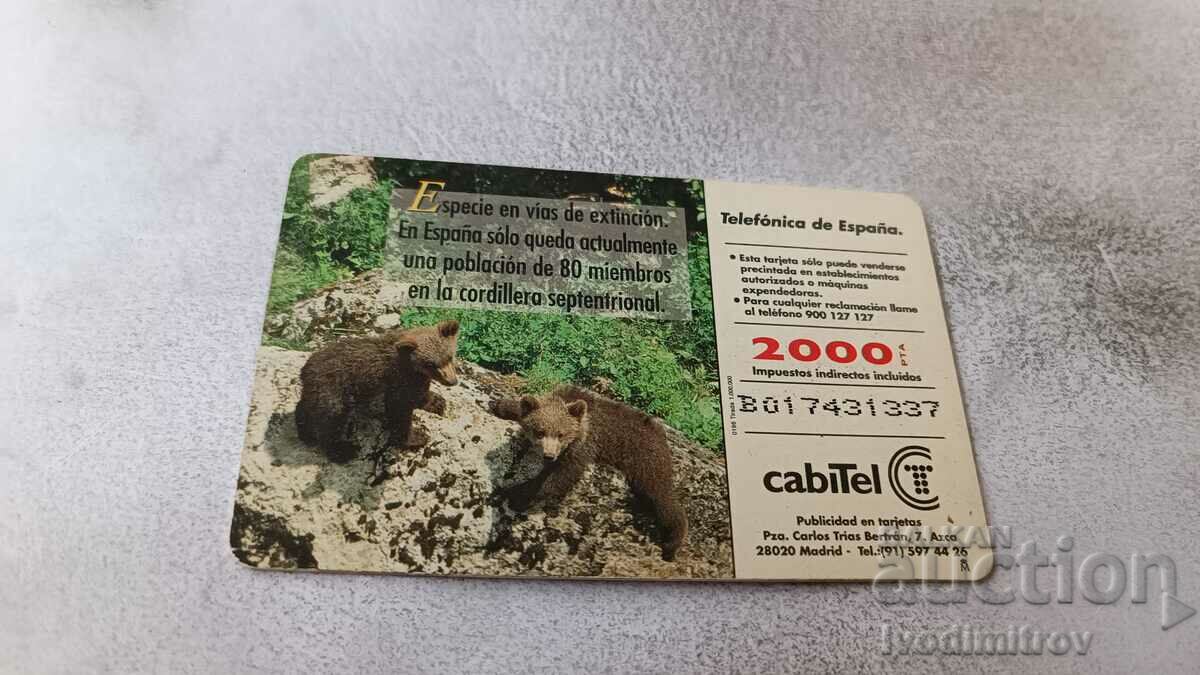 Κάρτα ήχου CabiTel Δύο αρκούδες