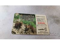 CabiTel sound card Two bears