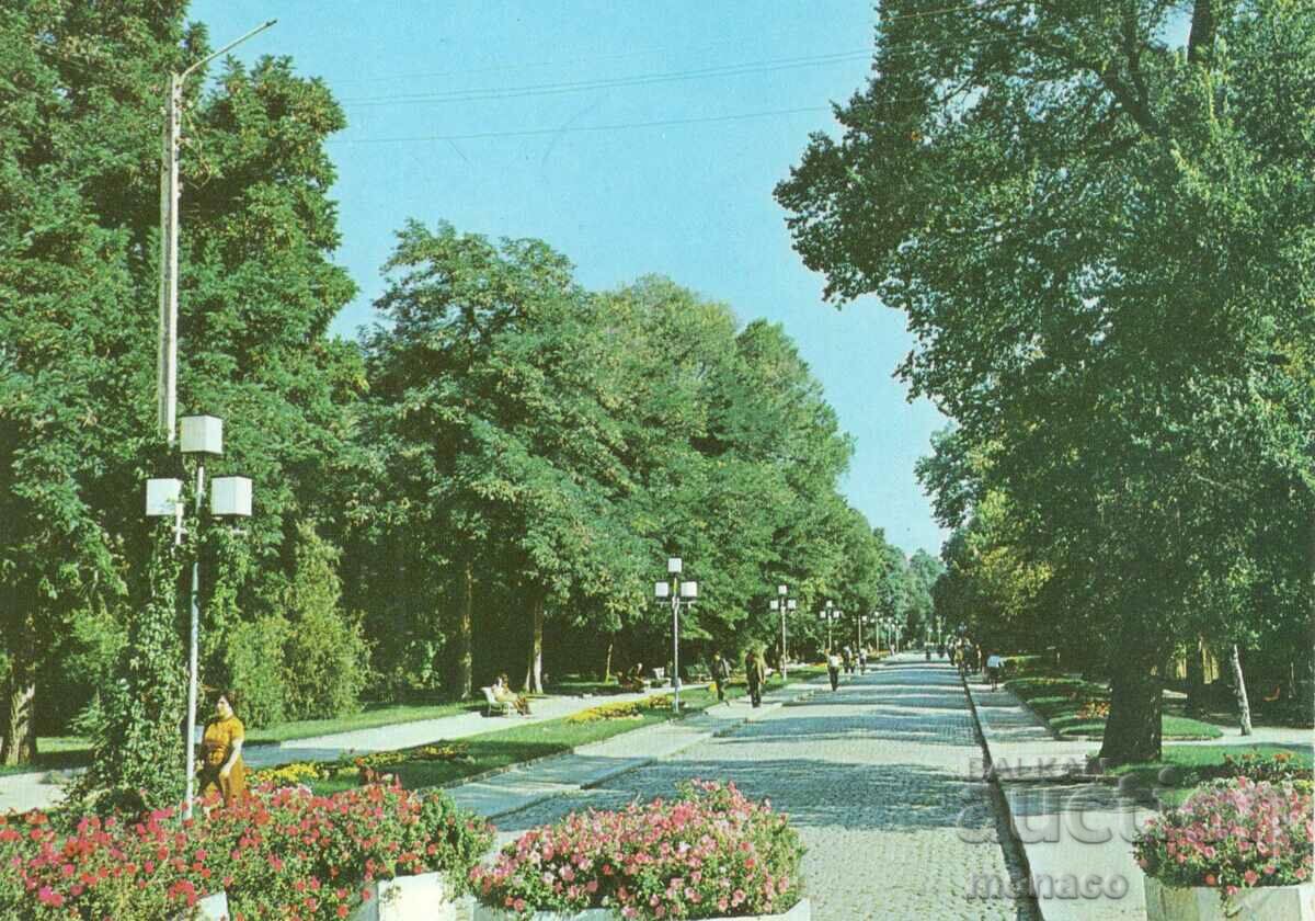 Old postcard - Sandanski, Alley in the park