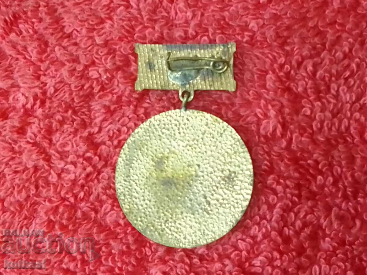 Old social badge VETERAN OF ROAD TRANSPORT VARNA Bearer with price 55.50 BGN | € 28.38