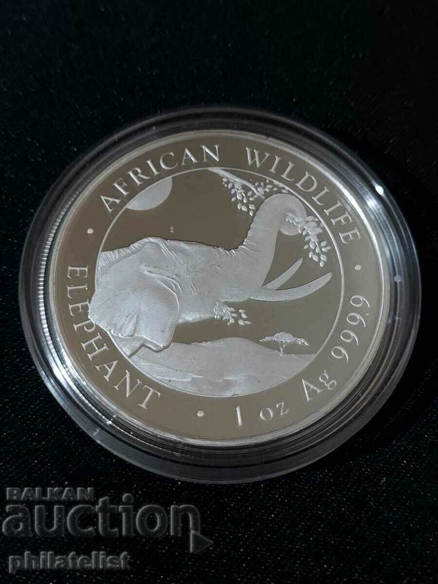 Somalia 2023 - 100 Shillings - 1 OZ - Elephant - Silver Coin