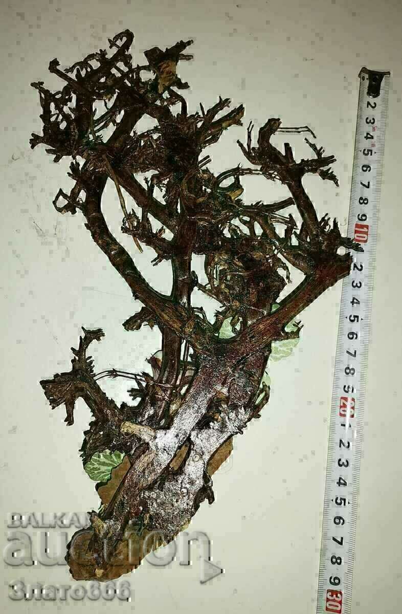 Ξύλινη διακόσμηση με τιμή € 2.50 | 4.89 BGN