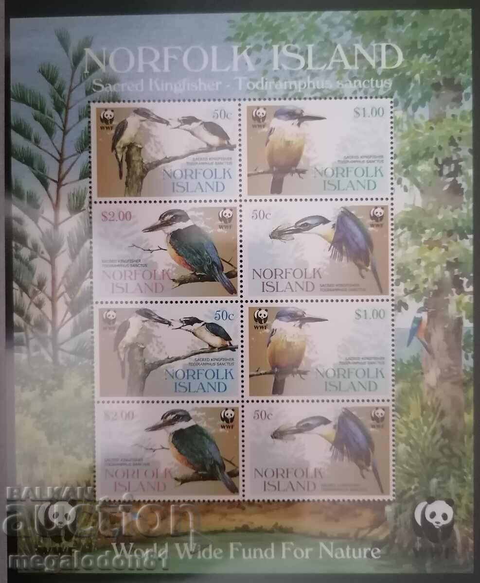 Insula Norfolk - WWF, kingfisher nativ