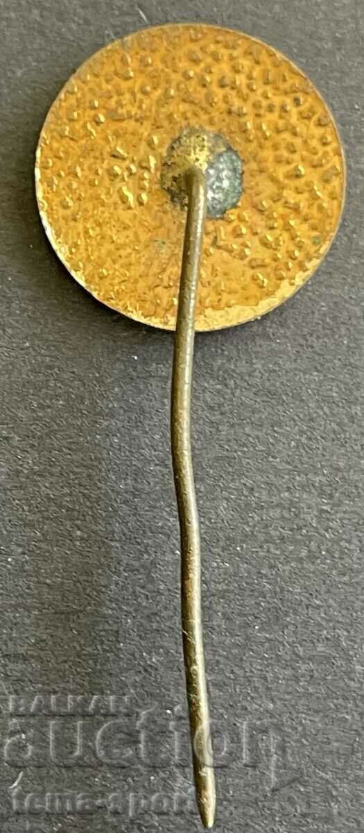 250 Bulgaria sign football club Slavia Sofia enamel with price 5.00 BGN | € 2.56 250 Bulgaria sign football club Slavia Sofia enamel with price 5.00 BGN | € 2.56