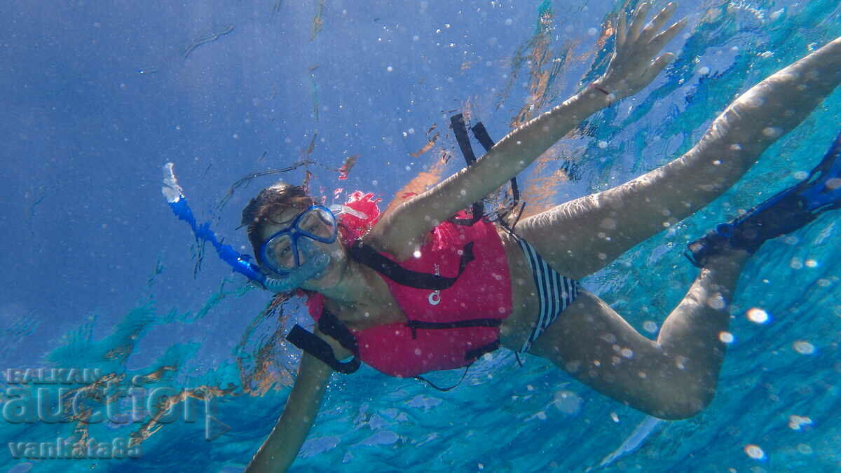 Waterproof Camera Olympus Stylus Tough TG 850 - 6 Waterproof Camera Olympus Stylus Tough TG 850 - 6