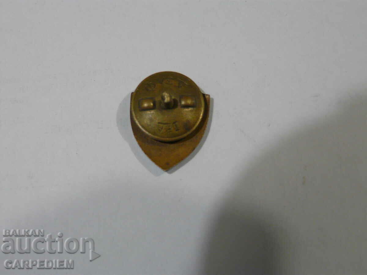 Auction  Old social badge on screw enamel NSST excellent