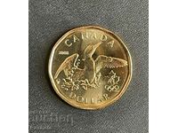 Канада 1 долар 2008 г.