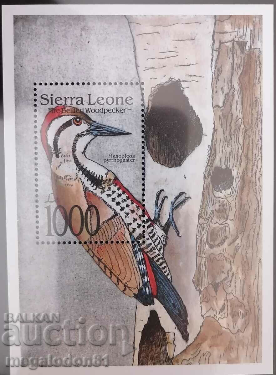 Sierra Leone - faună, păsări cu preț 22.00 BGN | € 11.25 Sierra Leone - faună, păsări cu preț 22.00 BGN | € 11.25