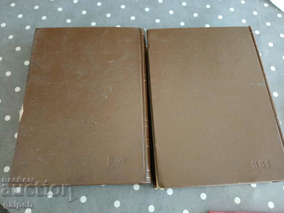 LOT OF BOOKS 18 - DICTIONARY OF THE BULGARIAN LANGUAGE - 2 pcs. - BGN 9 with price 9.00 BGN | € 4.60 LOT OF BOOKS 18 - DICTIONARY OF THE BULGARIAN LANGUAGE - 2 pcs. - BGN 9 with price 9.00 BGN | € 4.60