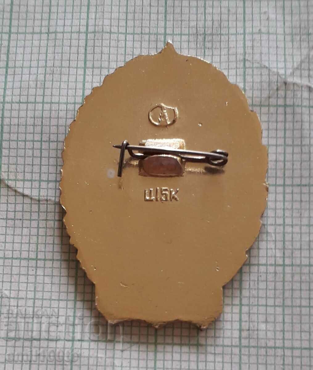 Delivery of Badge - VDPO Excellent Fire Service USSR